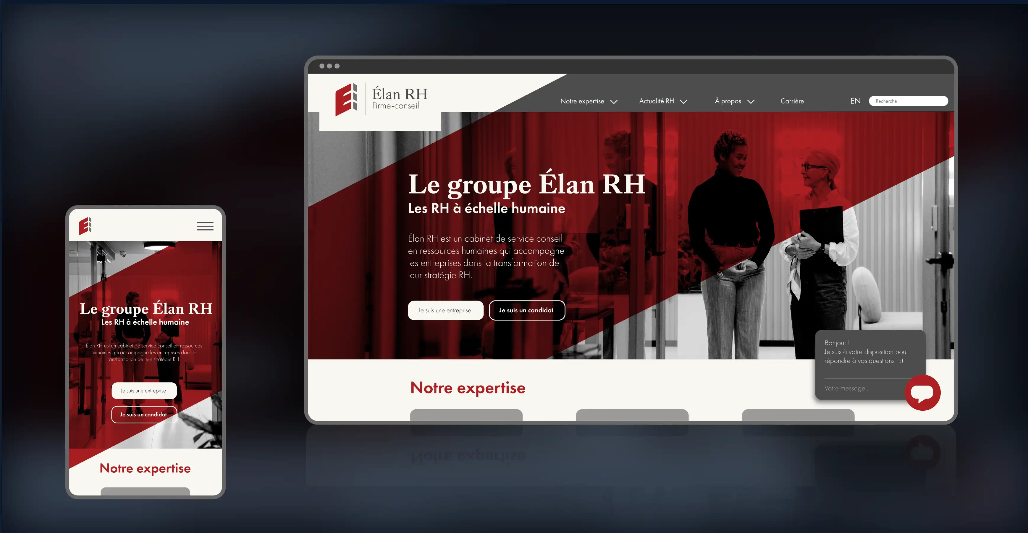 Laurent Richard designer graphique. Site web Élan RH identité graphique