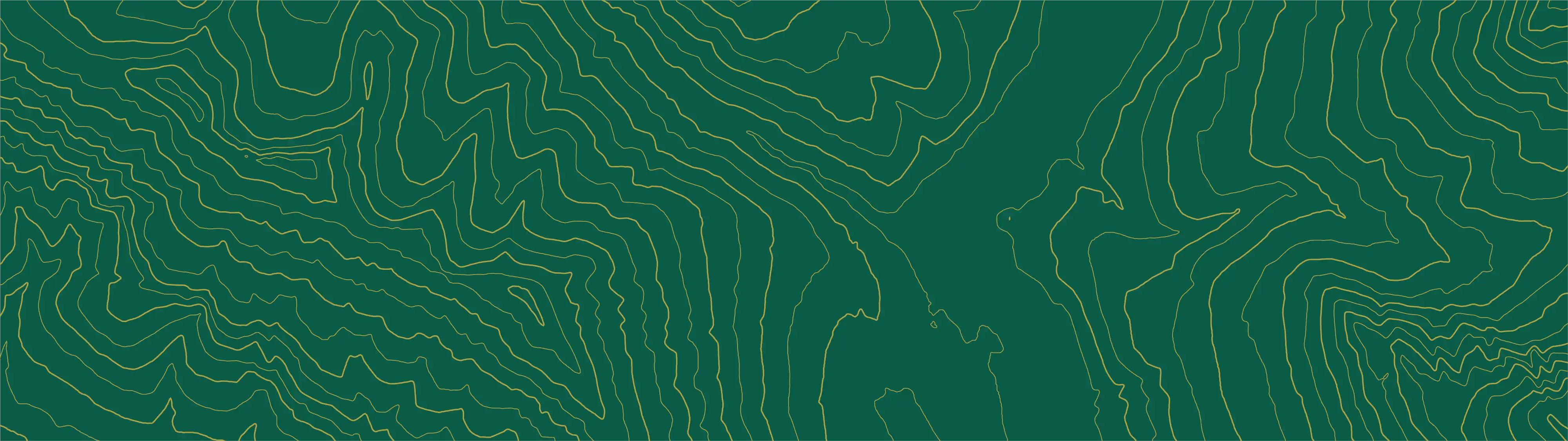 Laurent Richard designer graphique Green Groov